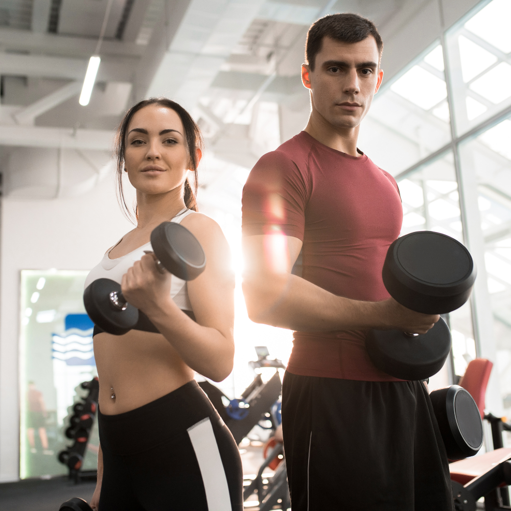 Buy and sell used fitness equipment like treadmills, exercise bikes, dumbbells, and multi-gyms at the best price on Krisppa